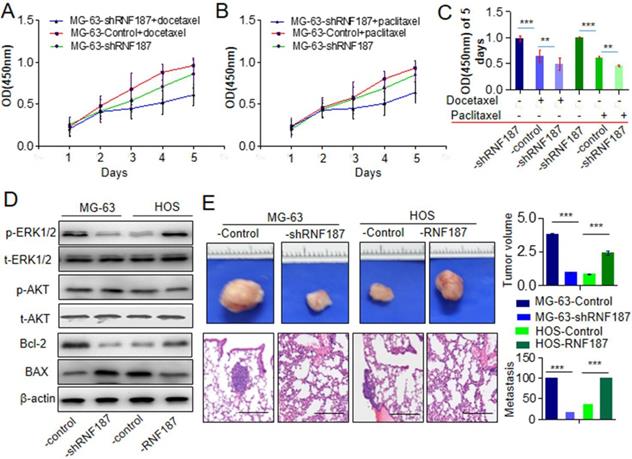 J Cancer Image