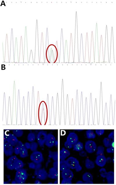 J Cancer Image