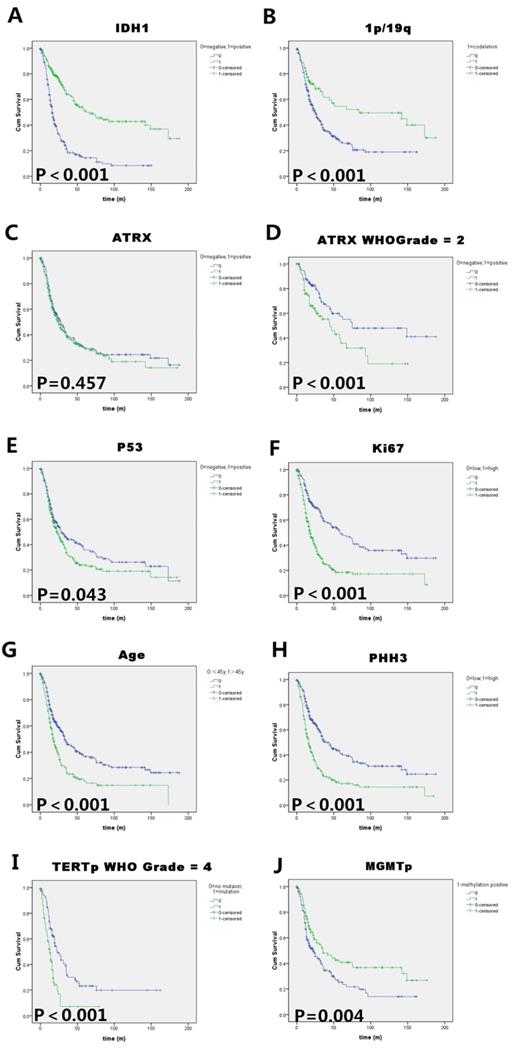 J Cancer Image