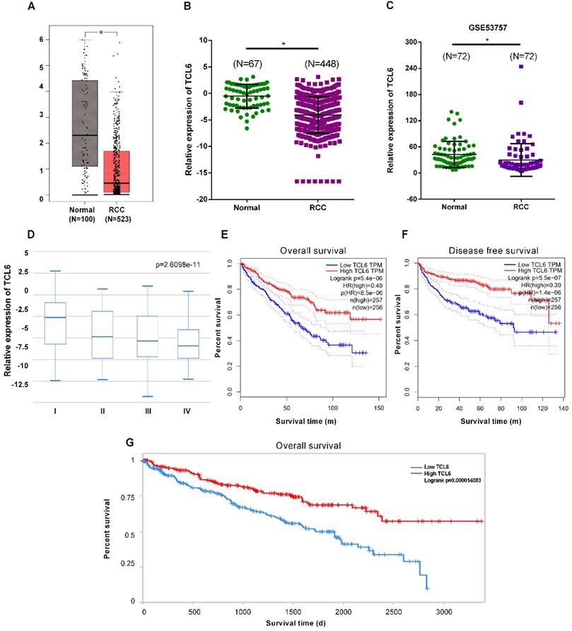 J Cancer Image