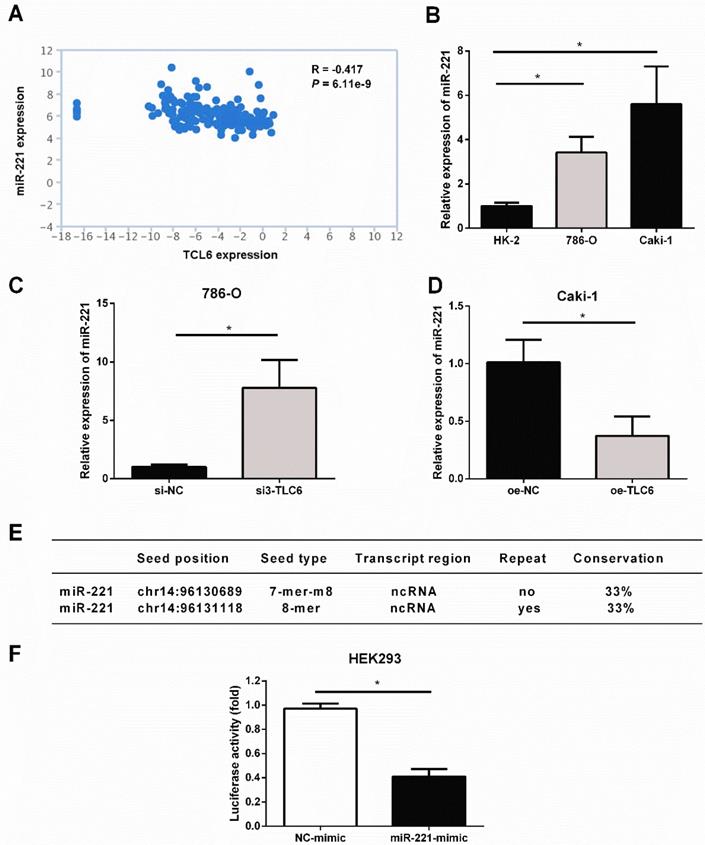 J Cancer Image