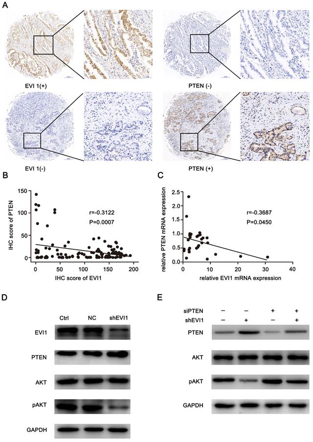 J Cancer Image