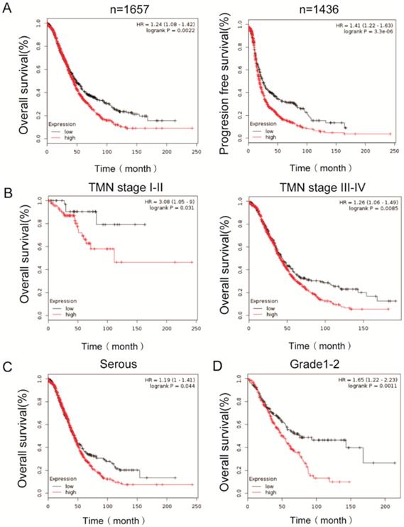 J Cancer Image