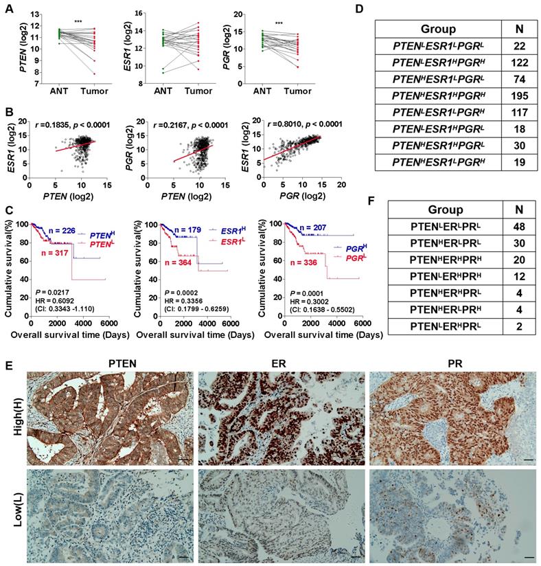 J Cancer Image