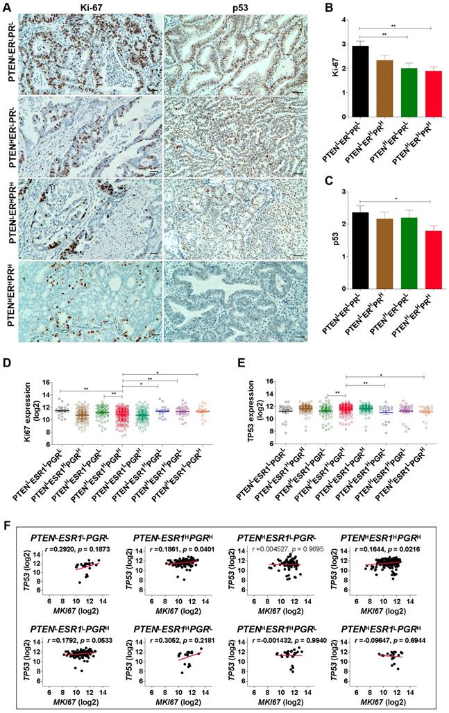 J Cancer Image