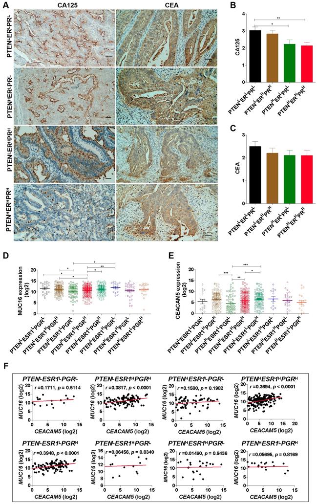 J Cancer Image