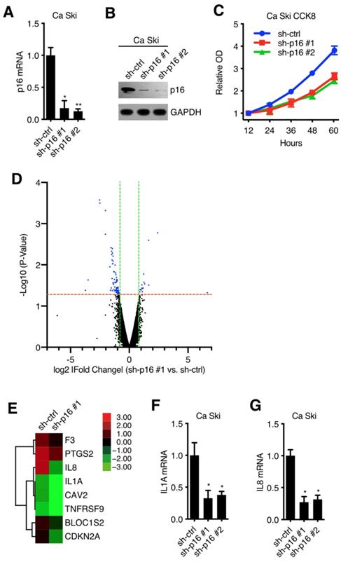 J Cancer Image