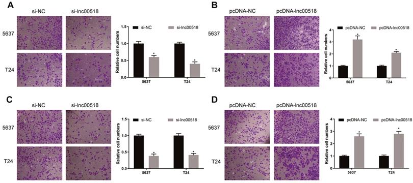 J Cancer Image