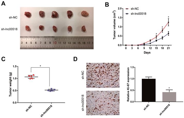 J Cancer Image