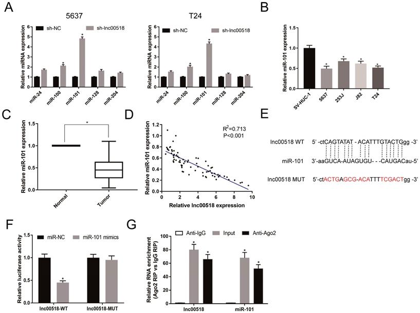 J Cancer Image