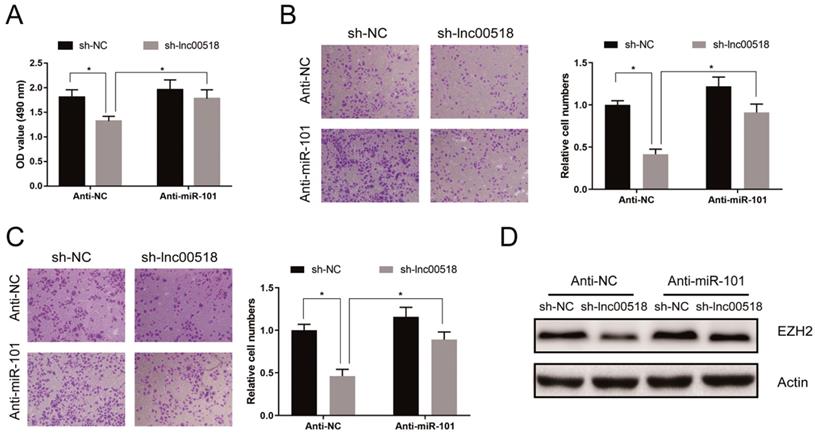 J Cancer Image