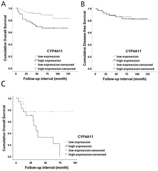 J Cancer Image