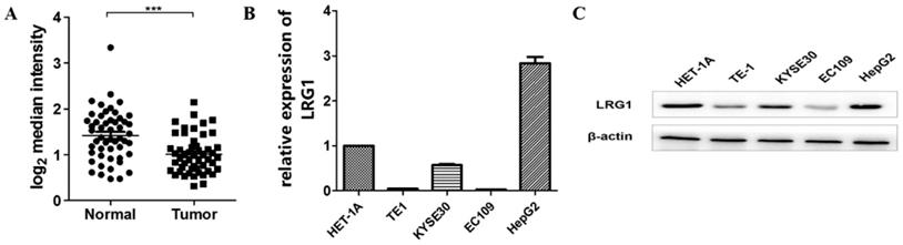 J Cancer Image