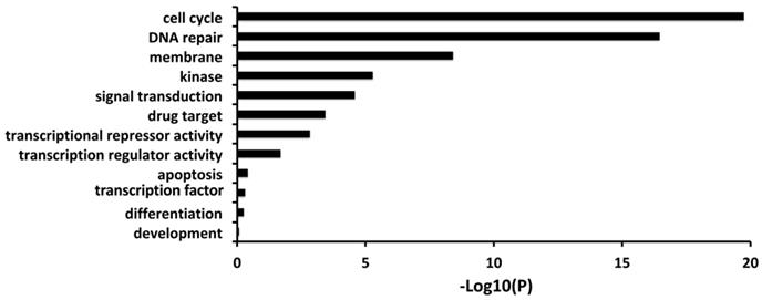 J Cancer Image