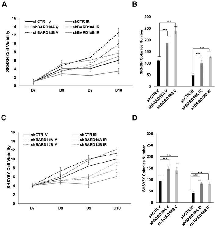 J Cancer Image