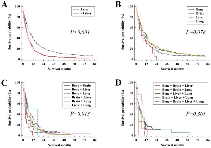 J Cancer Image