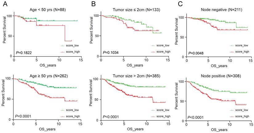 J Cancer Image