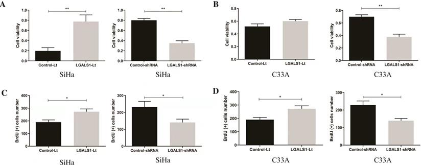 J Cancer Image