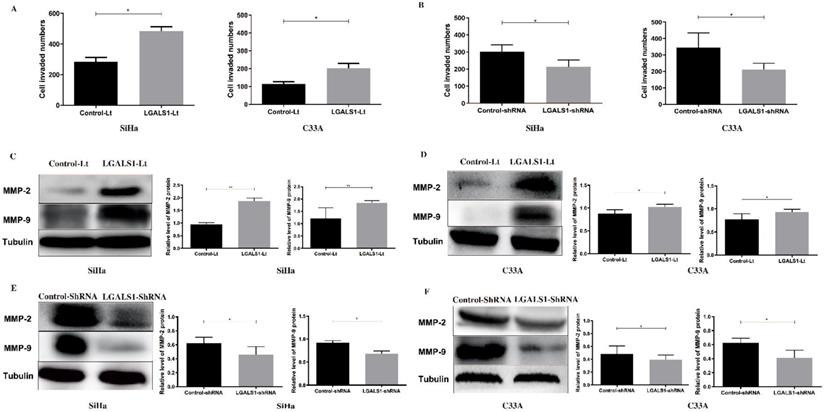 J Cancer Image