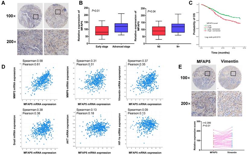 J Cancer Image