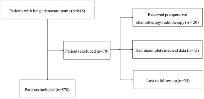 J Cancer Image