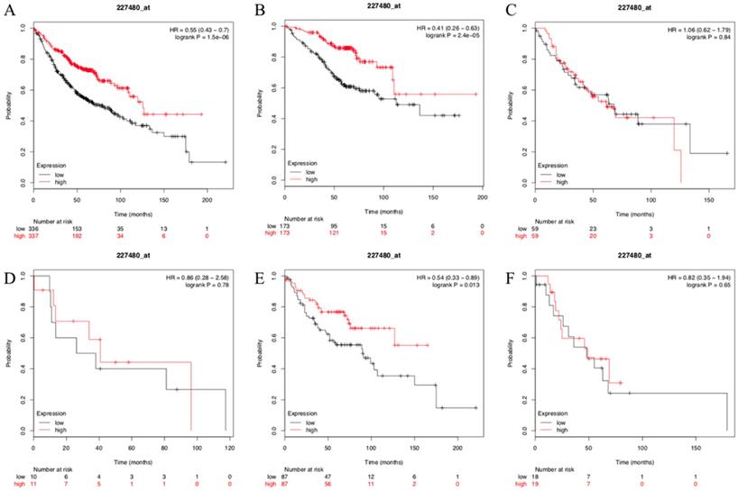 J Cancer Image