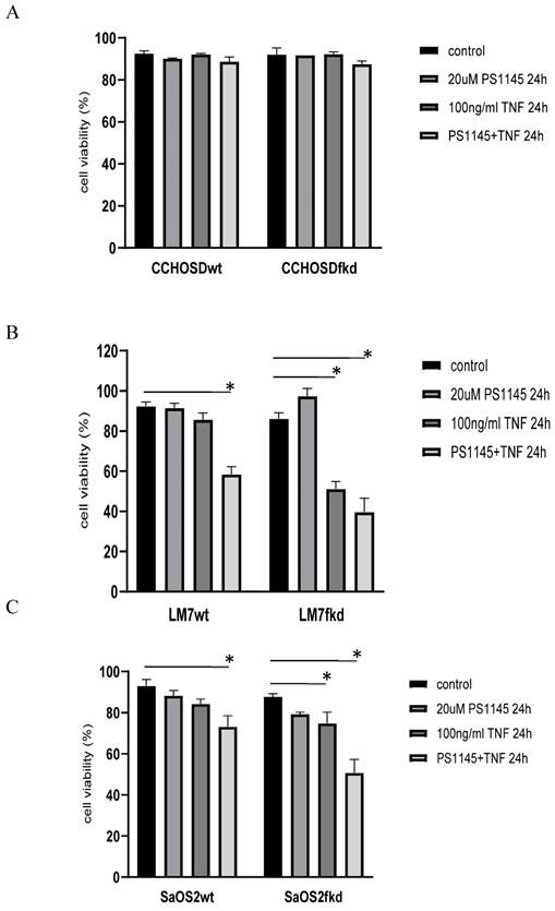 J Cancer Image