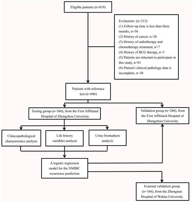 J Cancer Image