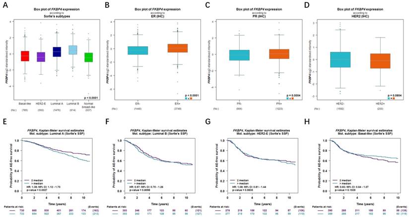 J Cancer Image