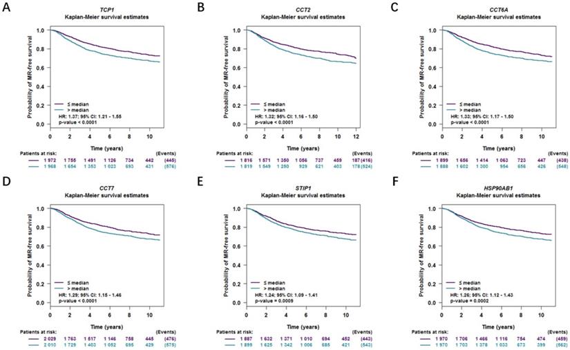 J Cancer Image