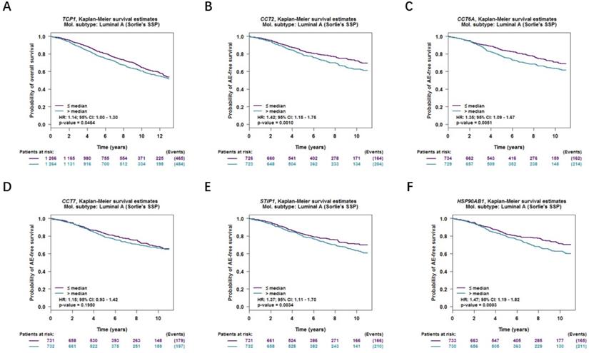 J Cancer Image