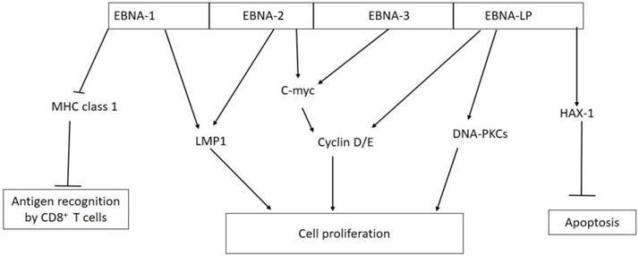 J Cancer Image