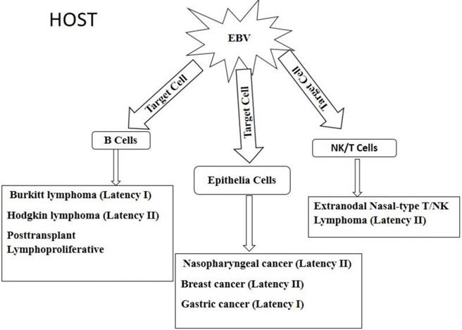 J Cancer Image