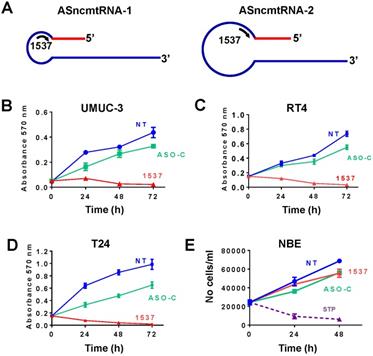 J Cancer Image