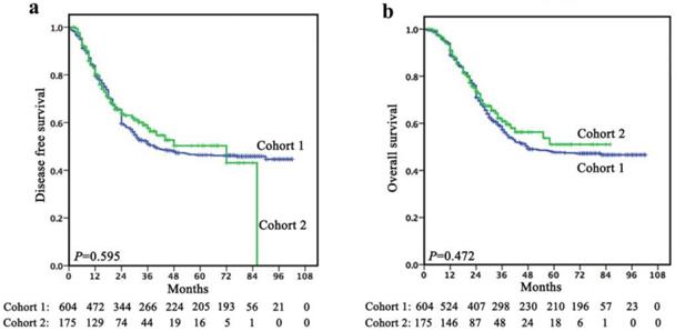 J Cancer Image