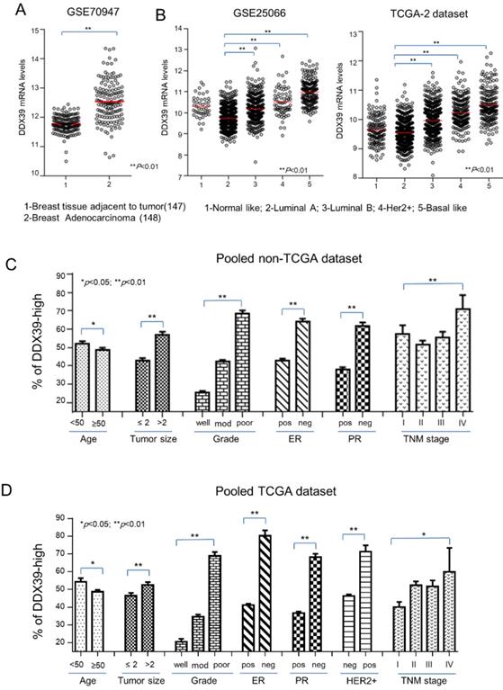 J Cancer Image