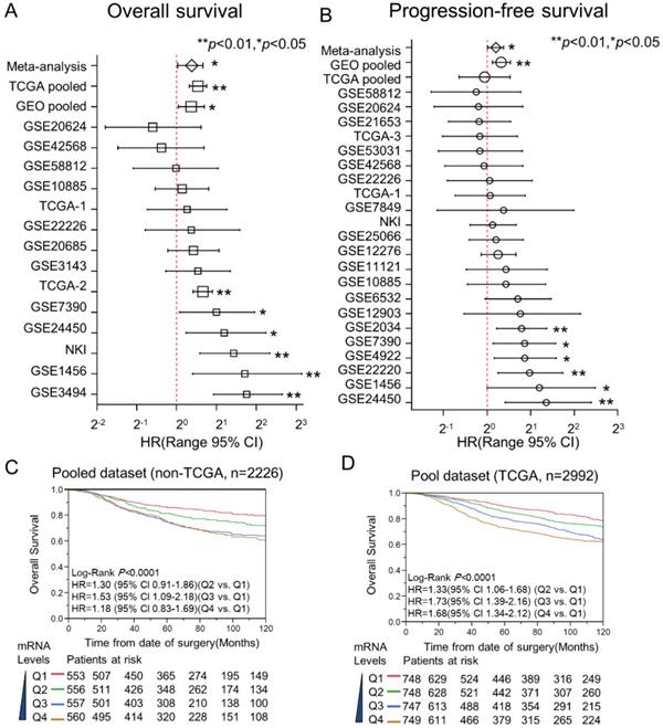 J Cancer Image