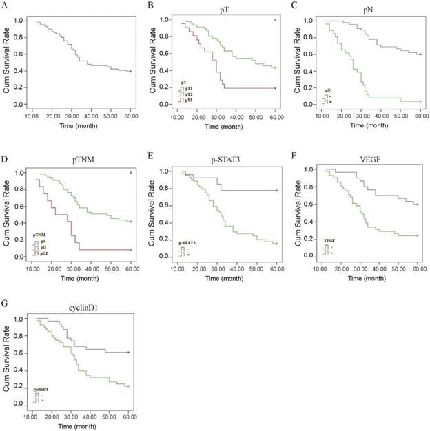 J Cancer Image