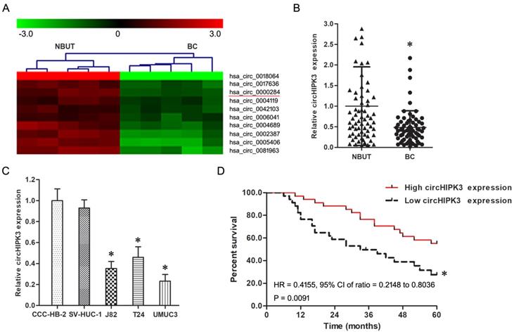 J Cancer Image