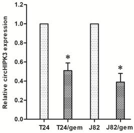 J Cancer Image