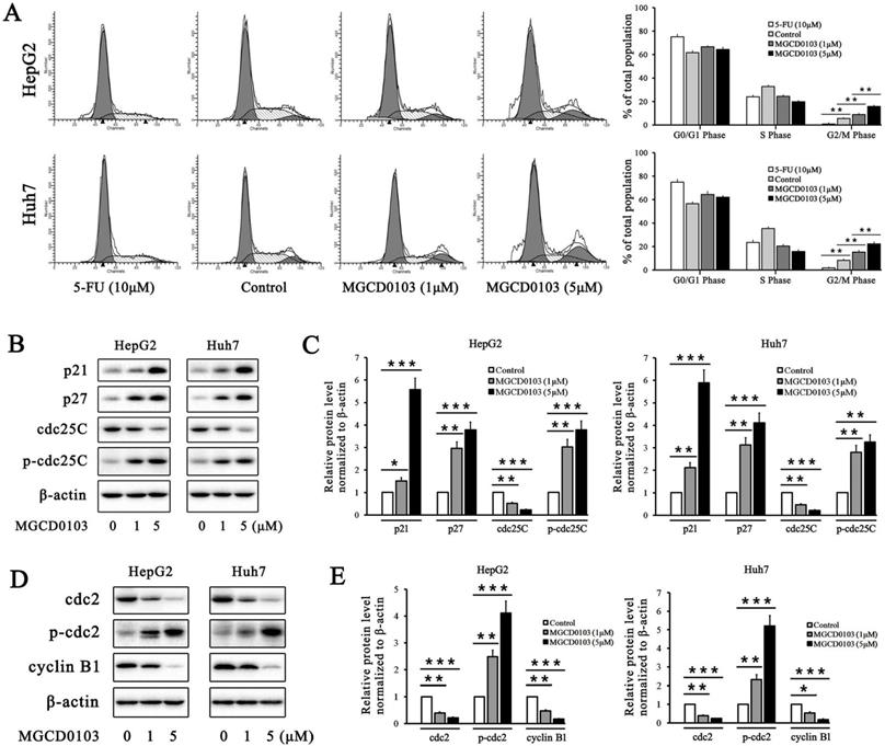 J Cancer Image