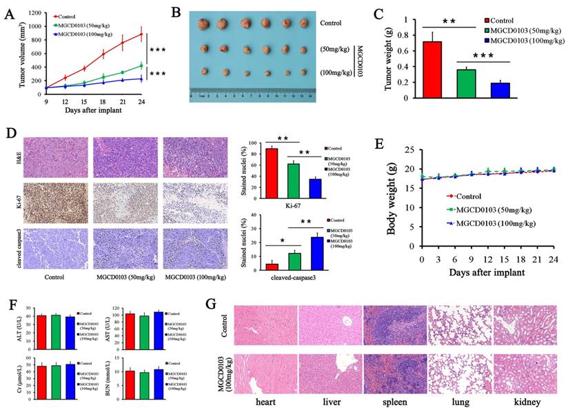 J Cancer Image