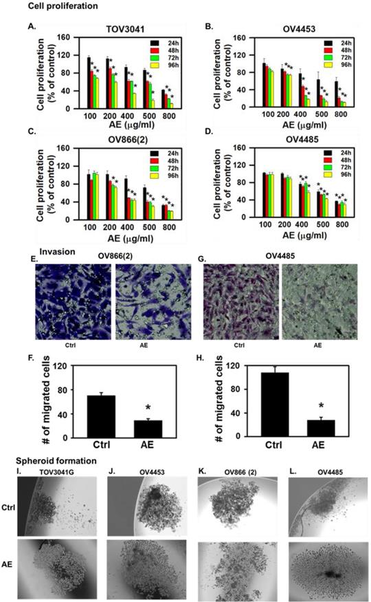 J Cancer Image