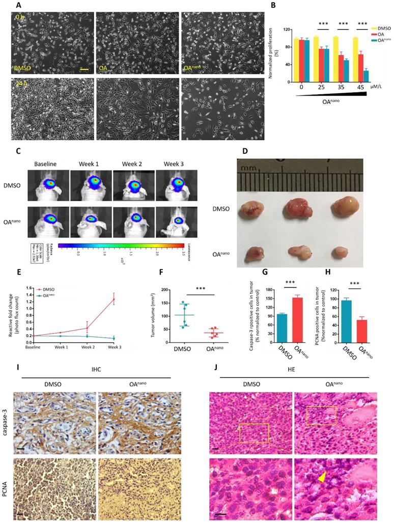 J Cancer Image