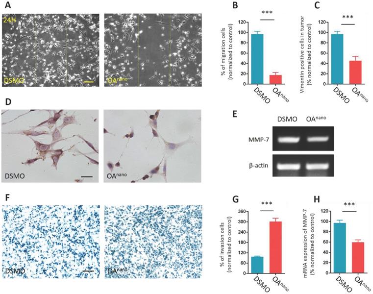 J Cancer Image