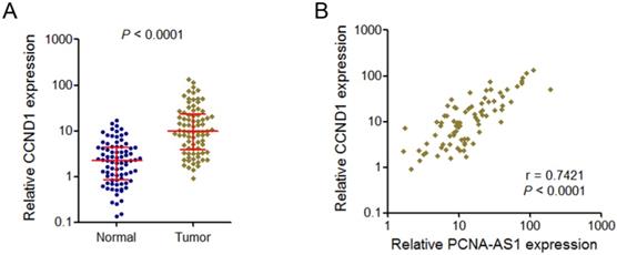 J Cancer Image