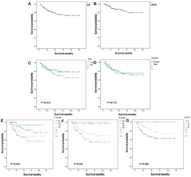 J Cancer Image