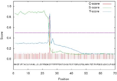 J Cancer Image