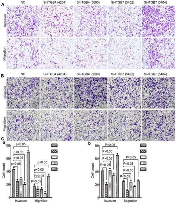 J Cancer Image