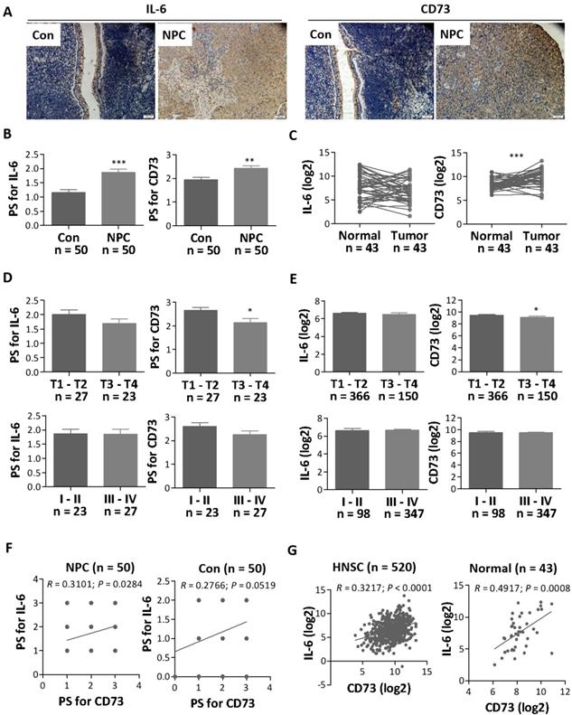 J Cancer Image